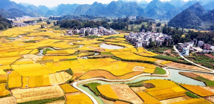 山鄉秋景